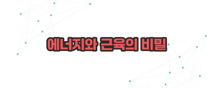 마그네슘 부족현상 이보다 자세히 설명할순없다