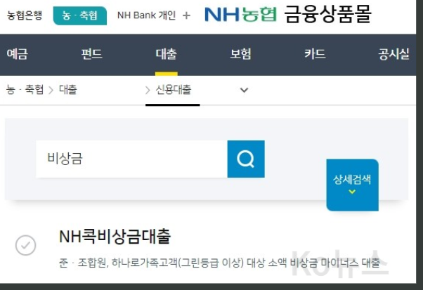 NH콕비상금대출-홈페이지