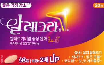 알레그라정 최신