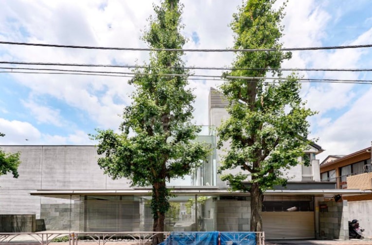 큰 나무 2개가 나란서 있고 그 뒤로 아파트가 보인다