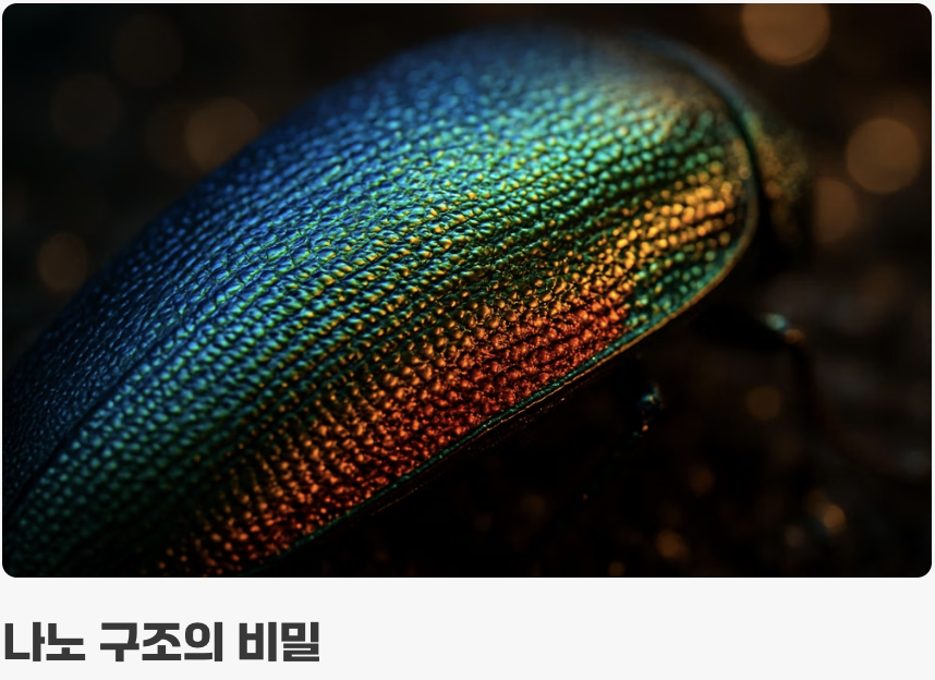 스스로 빛을 내지 않는 보석