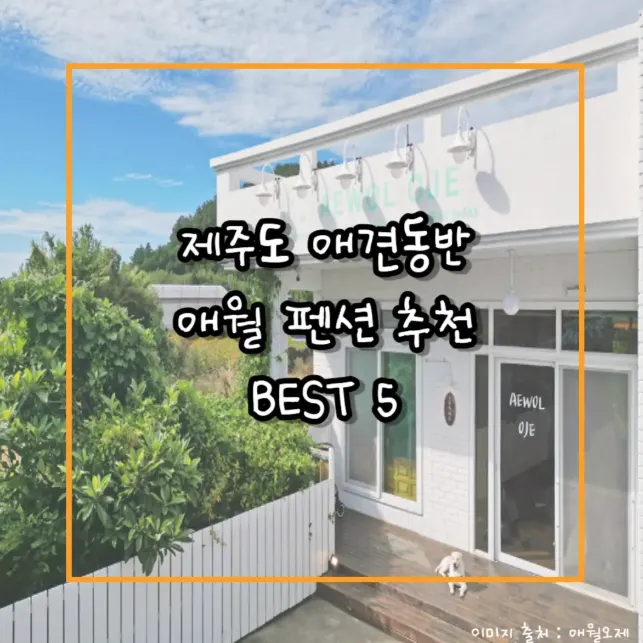 제주도 애견동반 숙소 사진