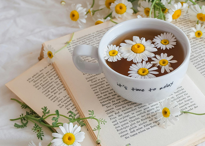 머그컵에 카모마일차가 담겨있고 그 주위로 카모마일이 흩어져 있는 이미지