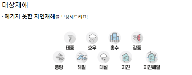 행정안전부 지진 재난지원 보험금 안내