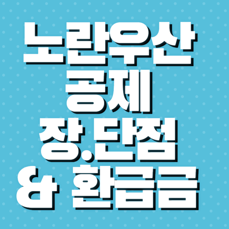 노란우산 공제