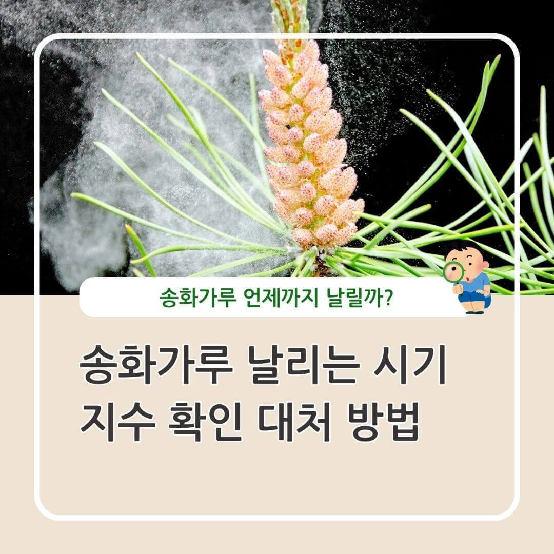 송화가루 날리는 시기