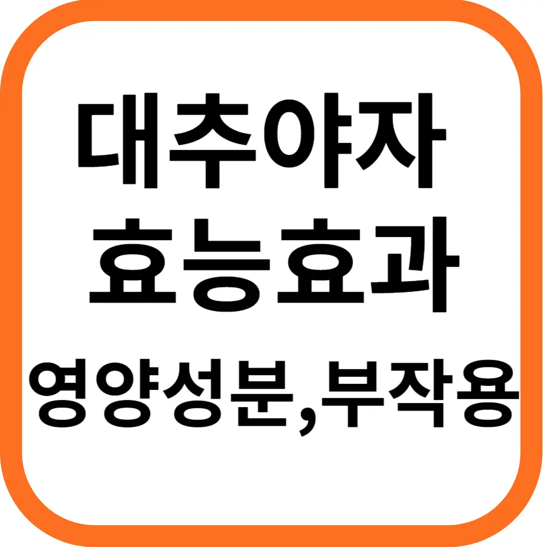 대추야자 효능효과 영양성분과 부작용
