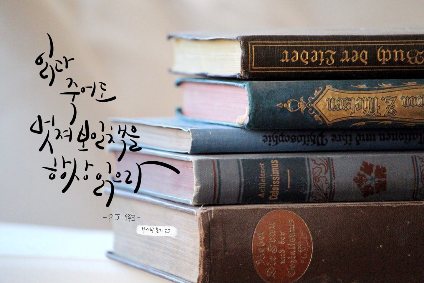 P. J. 오루크_썸네일