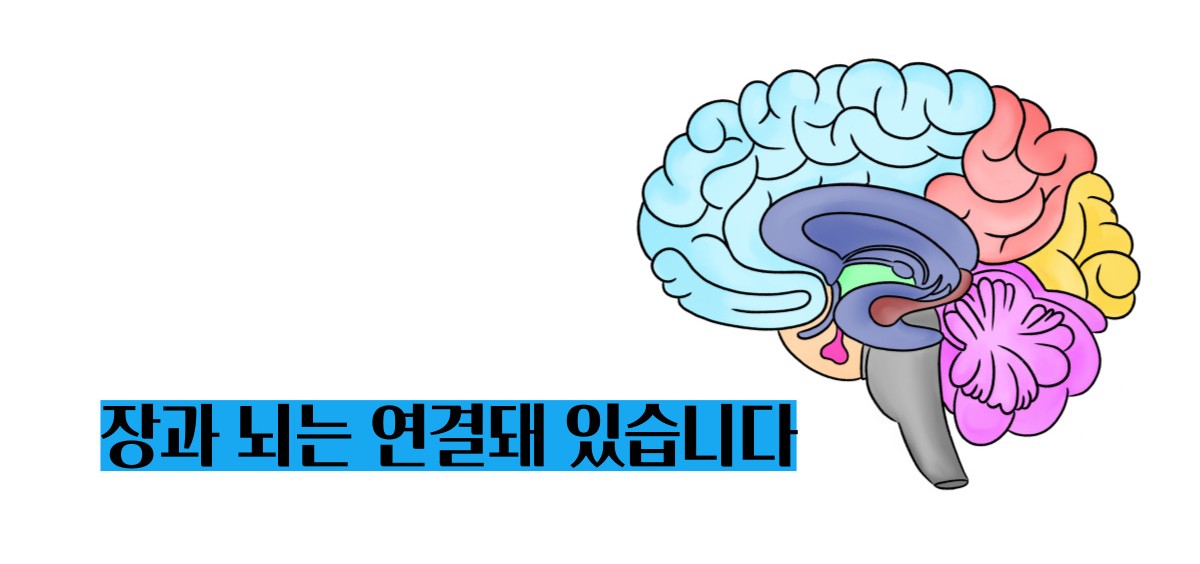 과민성 대장증후군 증상