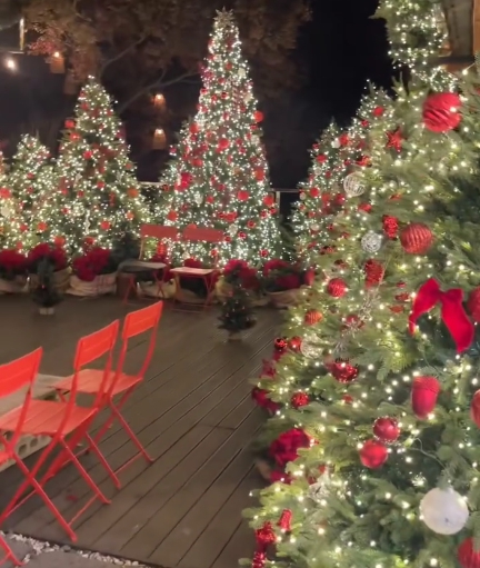 크리스마스/분위기/핫플/카페