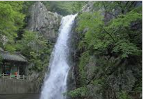 ISFP 유형 특징 분석