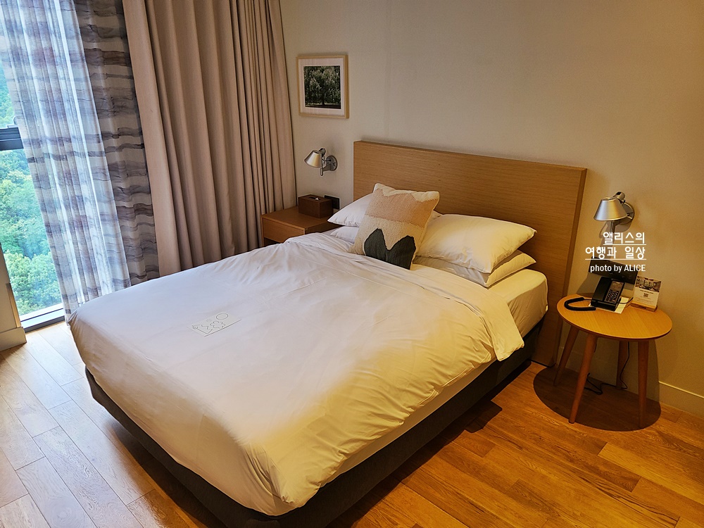 라까사호텔 광명 스탠다드 더블룸 후기, 가성비 좋은 아늑한 호텔, 숲뷰