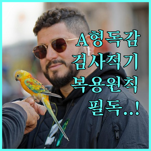 A형 독감 검사 적기 및 타미플루 5..
