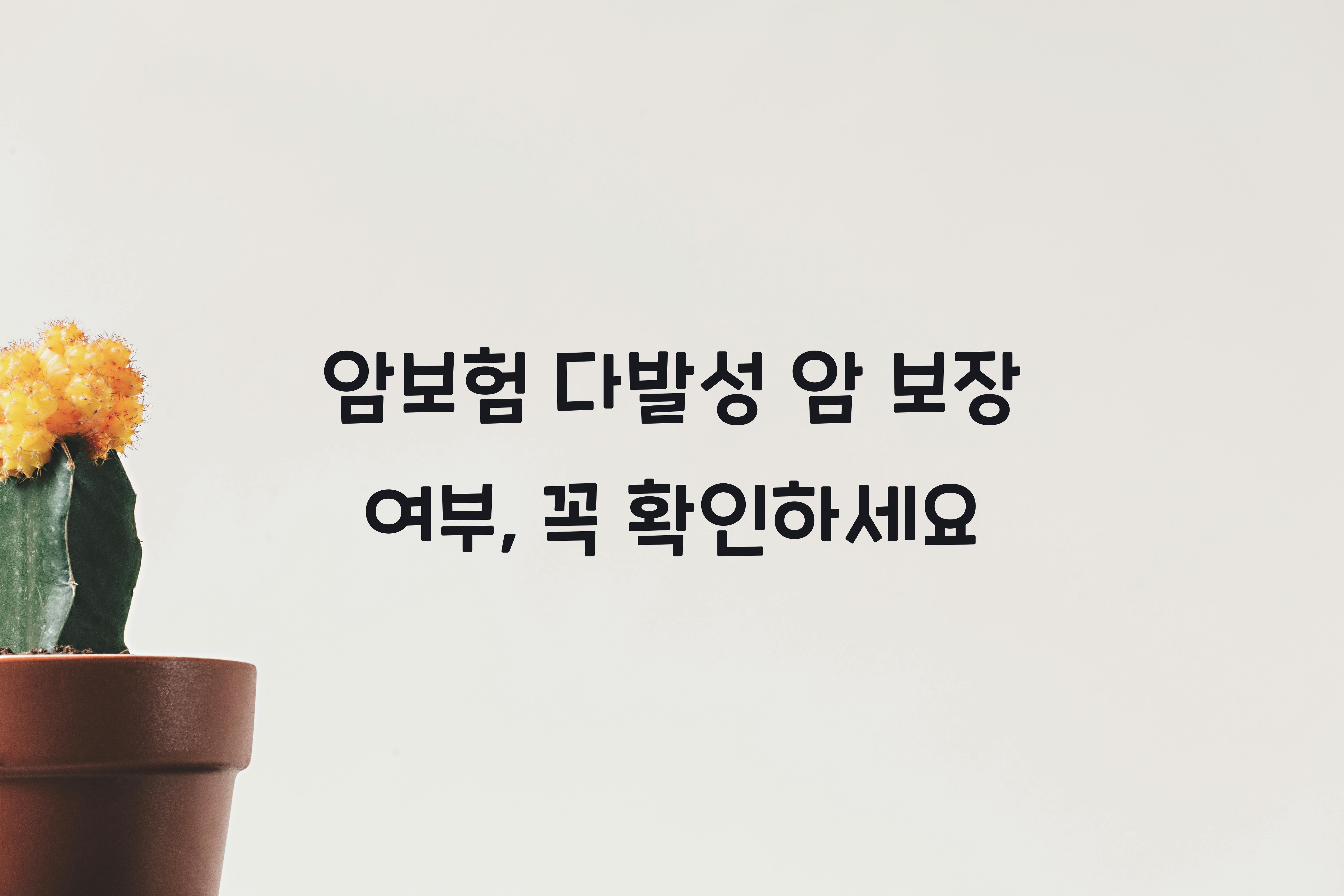 암보험 다발성 암 보장 여부
