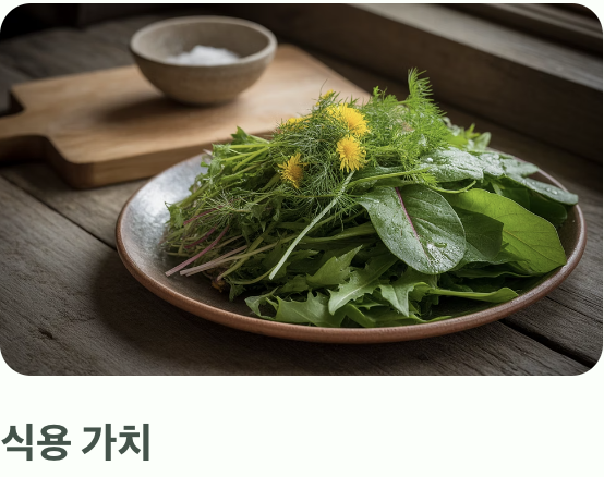 '나물'보다는 '약초'에 가까운 쓰임새