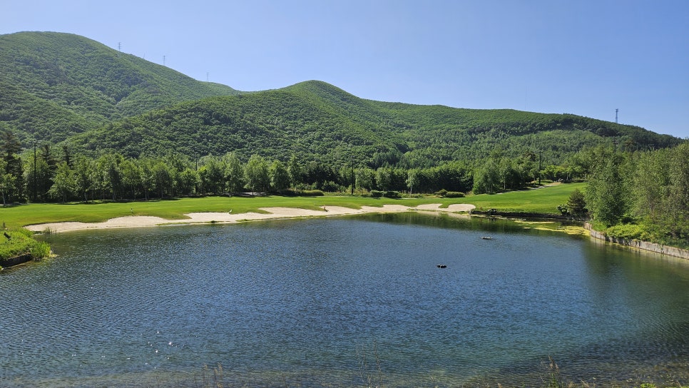 골프장 경험담 정선 하이원CC 하늘에 닿은 힐링 골프, 백두대간 품은 대한민국 최고 고지의 명품 코스