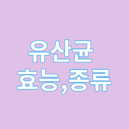 유산균 효능&#44; 종류 글자