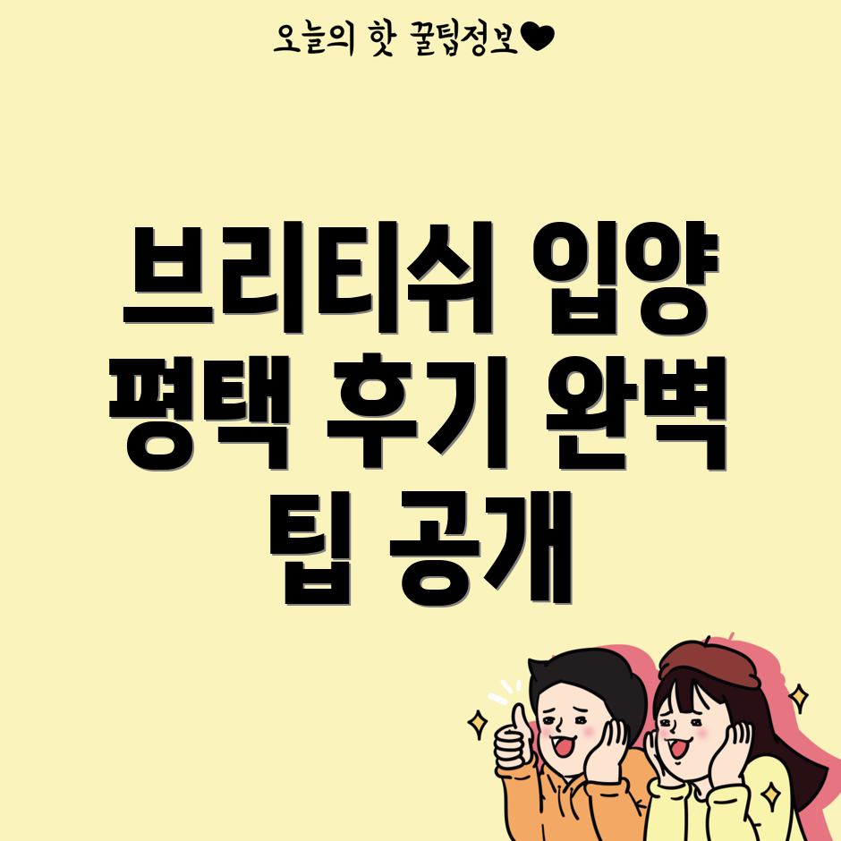 브리티쉬 숏헤어