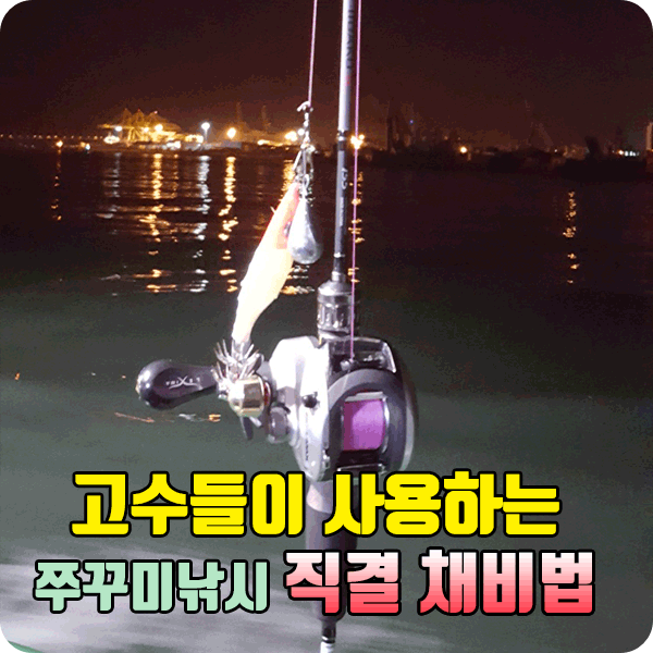 주꾸미 직결 채비
