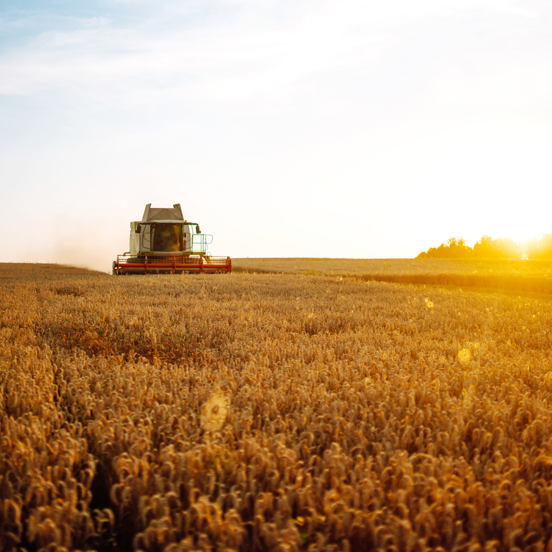 강릉 감성 여행 가이드