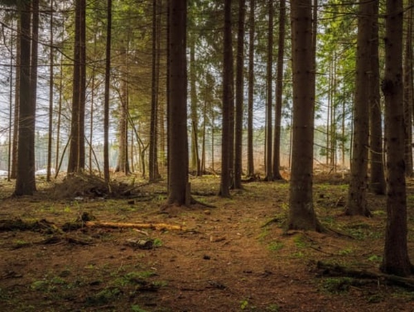 계획관리지역 이란
