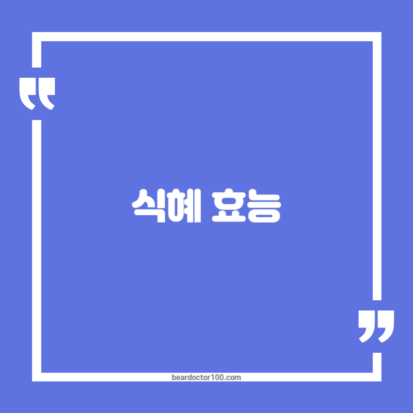 식혜 효능