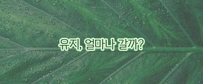 리쥬란 힐러 지속 기간 꼼꼼히 알아봐야겠죠?
