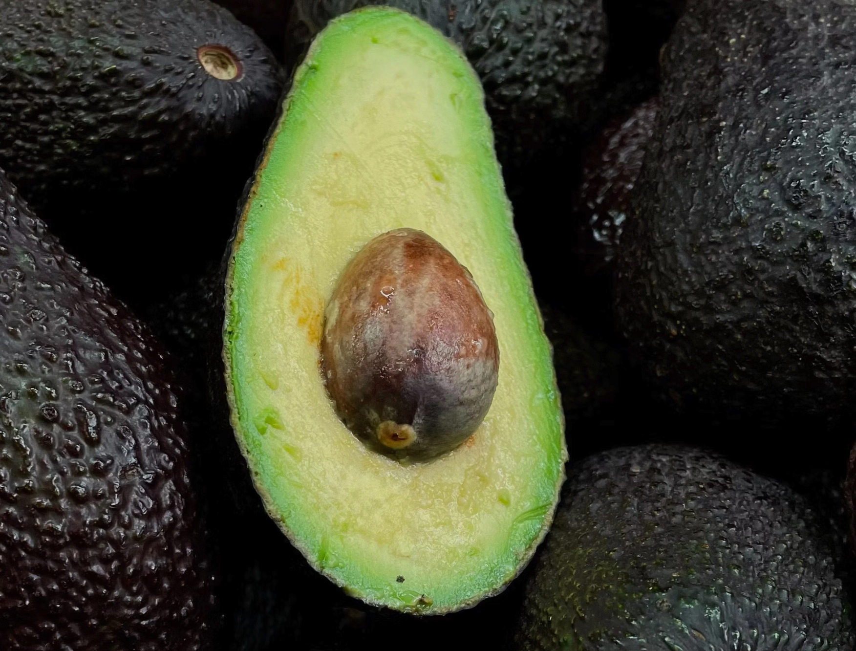 고지혈증에 좋은 음식