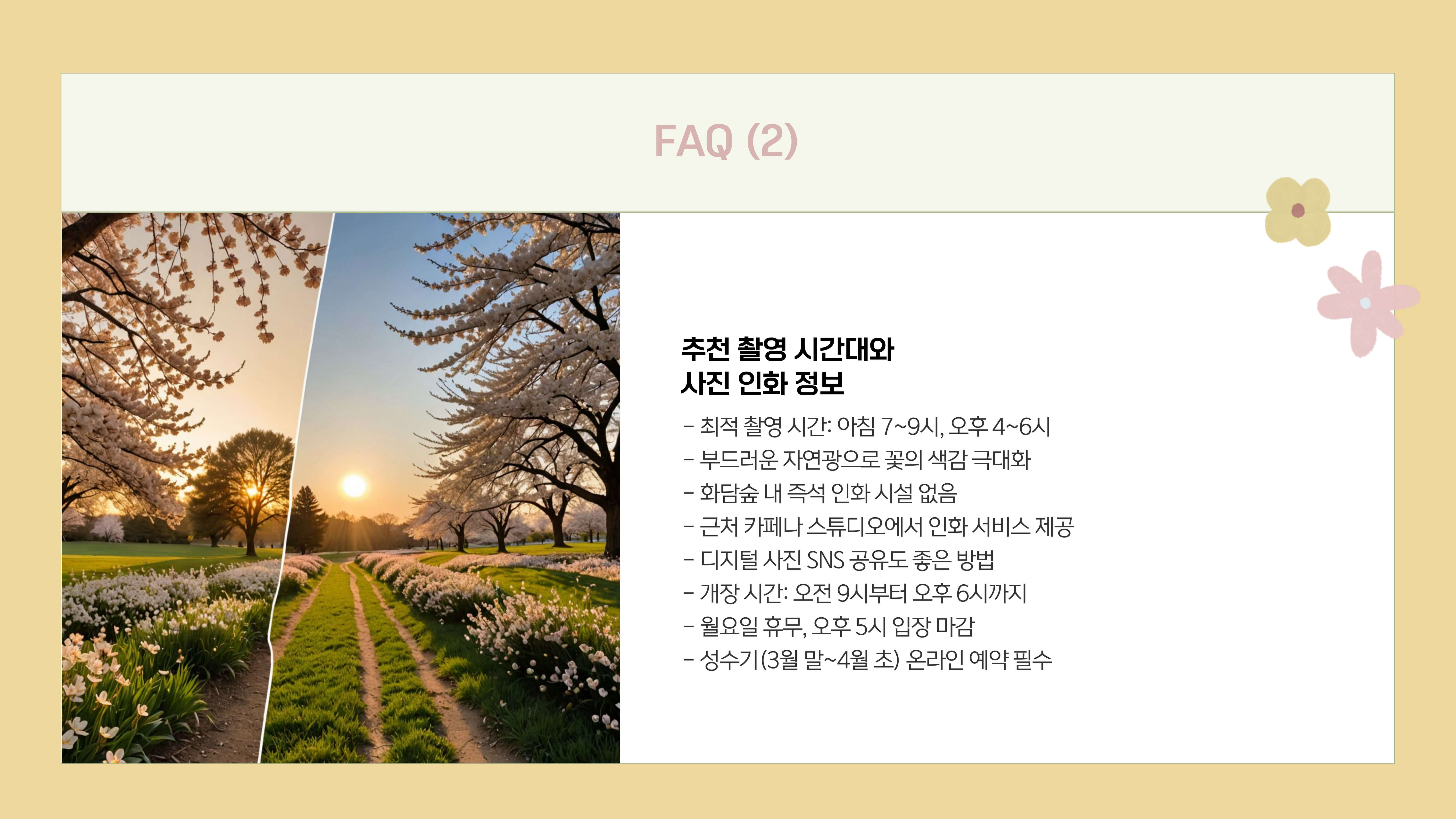 화담숲 봄꽃 사진 촬영 팁