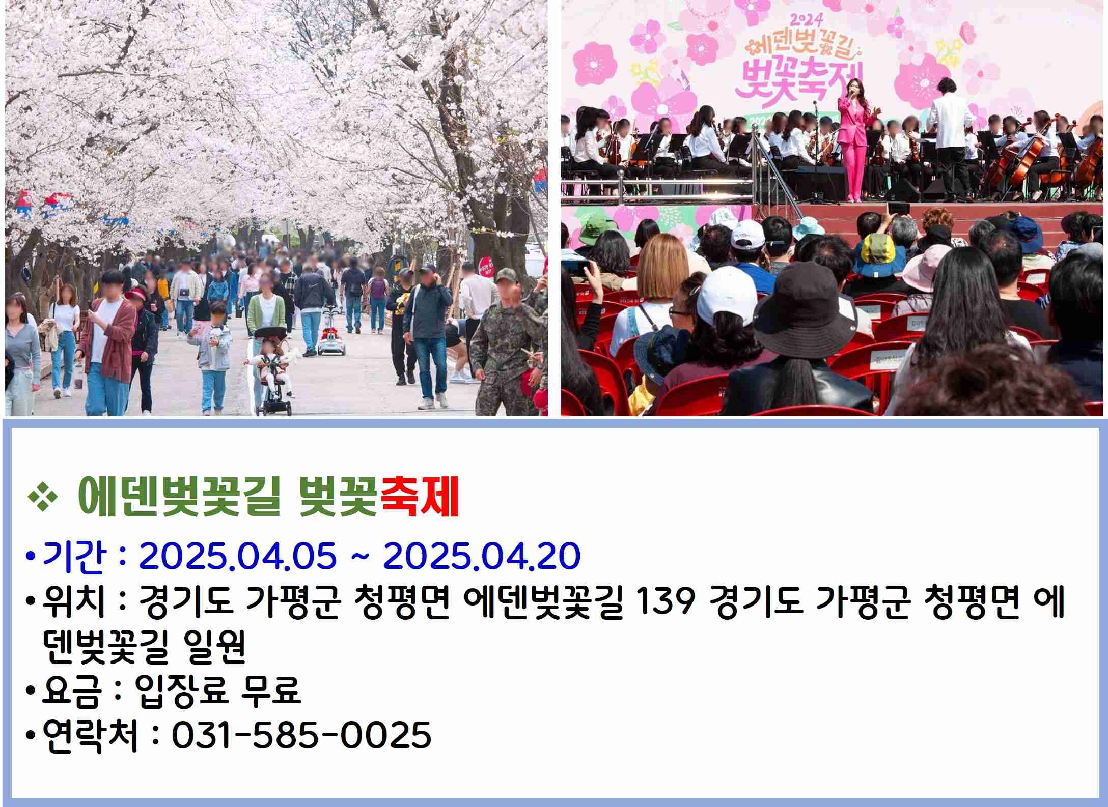 에덴벚꽃길 벚꽃축제