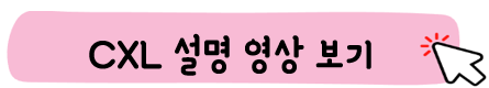 CXL-설명영상