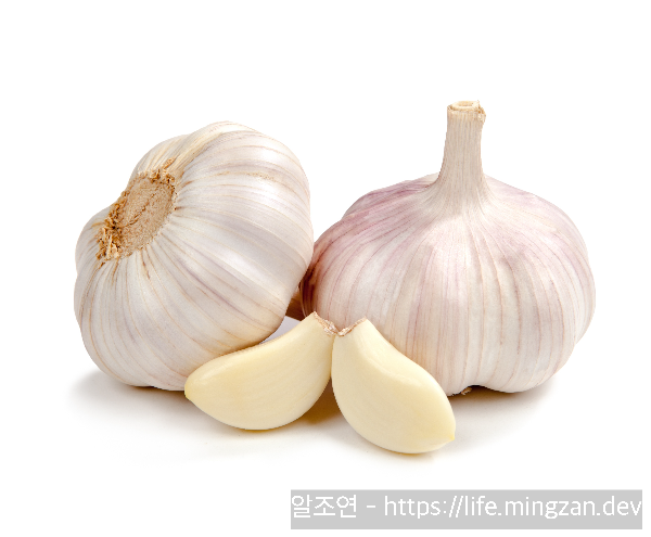 지방분해 효과도 있는 마늘 다이어트 필수템 등극?
