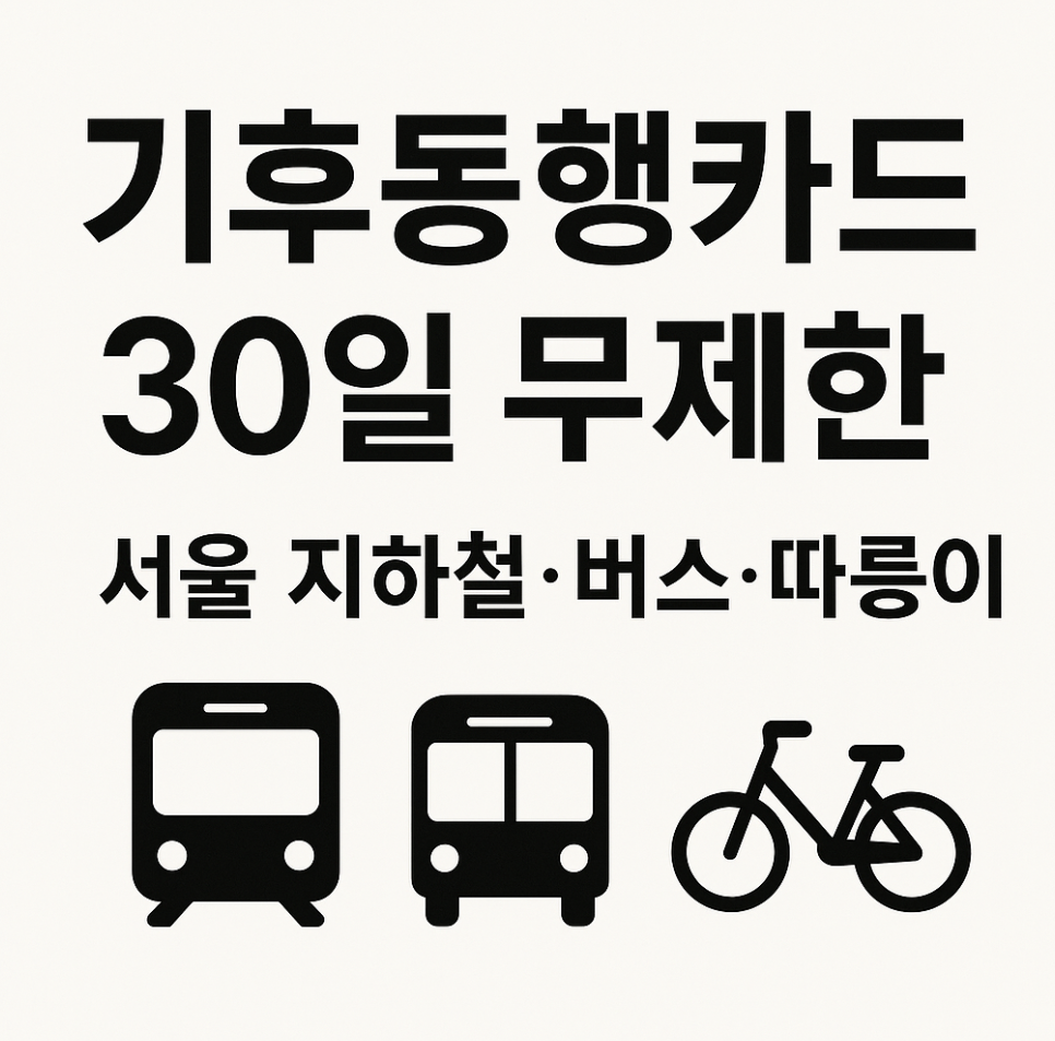 2025 최신 기후동행카드 완전정리