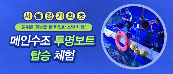 투명보트 탑승 체험
