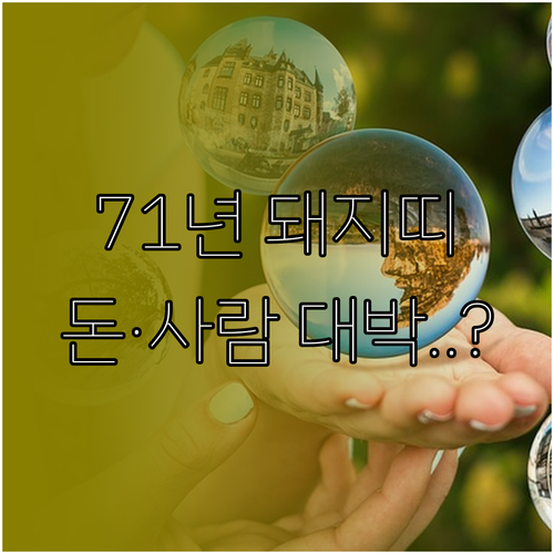 1971년생 돼지띠를 위한 2026년..