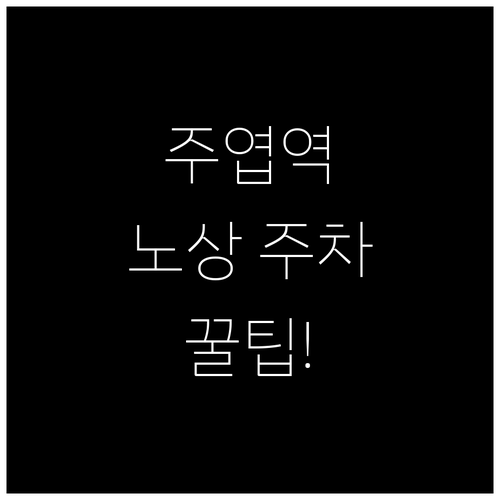 일산 주엽역 노상 주차장 위치와 할인..