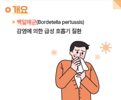 백일해 예방