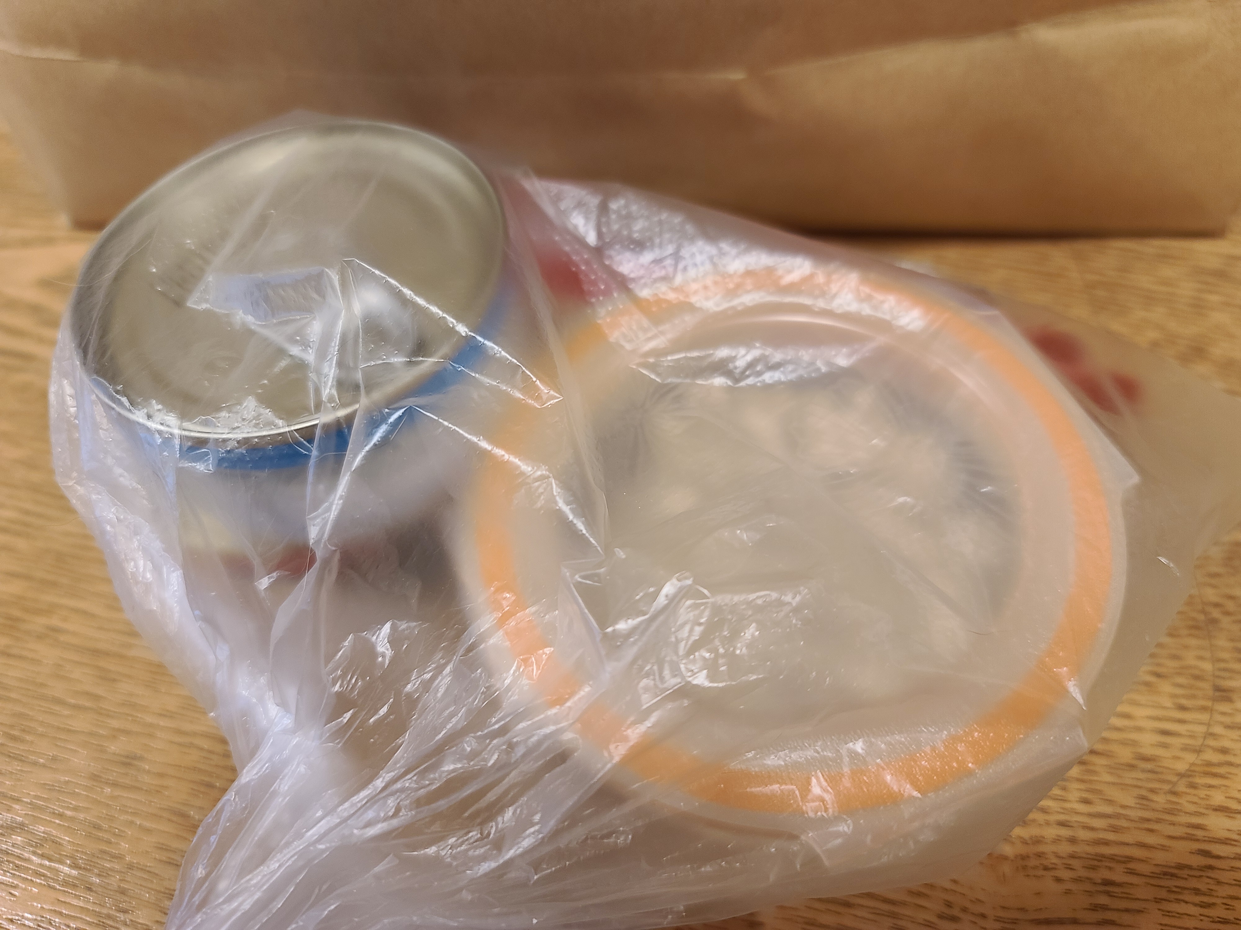 황달로 인한 호야의 입원. 고양이 황달.