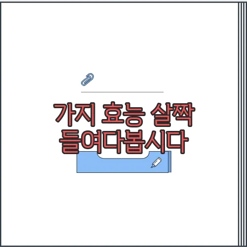 가지 효능 살짝 들여다봅시다