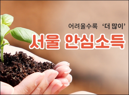 서울 안심소득
