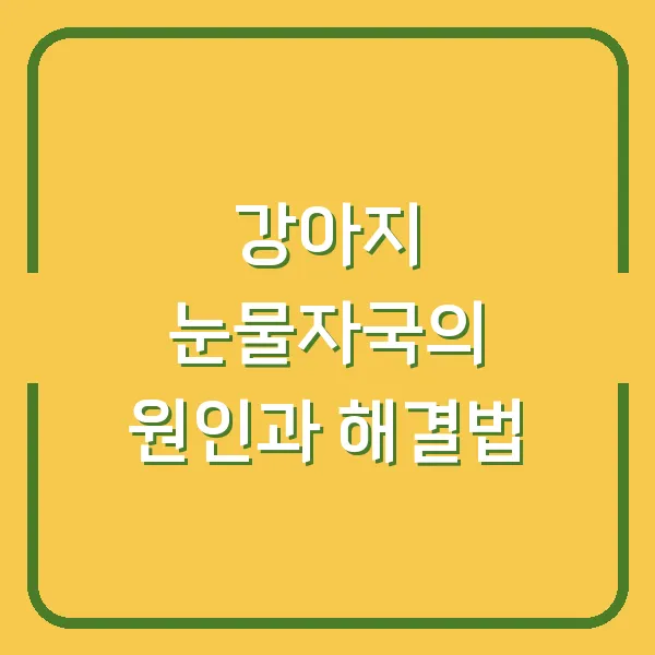 강아지 눈물자국의 원인과 해결법