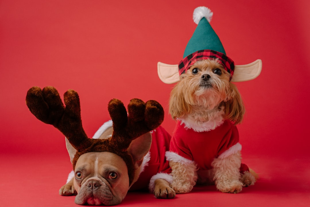 Rudolph
