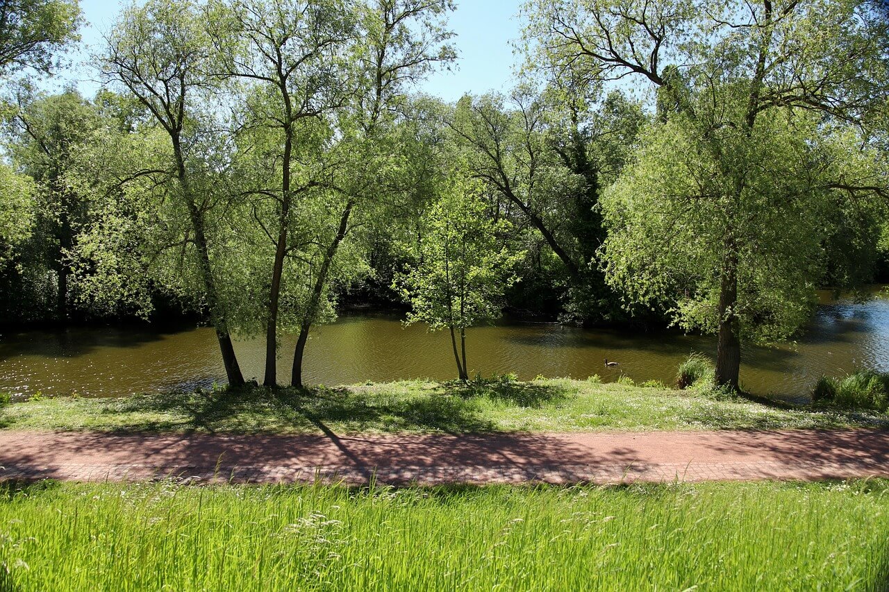 도시 속 조용한 산책 코스 양천구 신정누리길 – 오래된 주택 단지 사이의 조용한 초록길