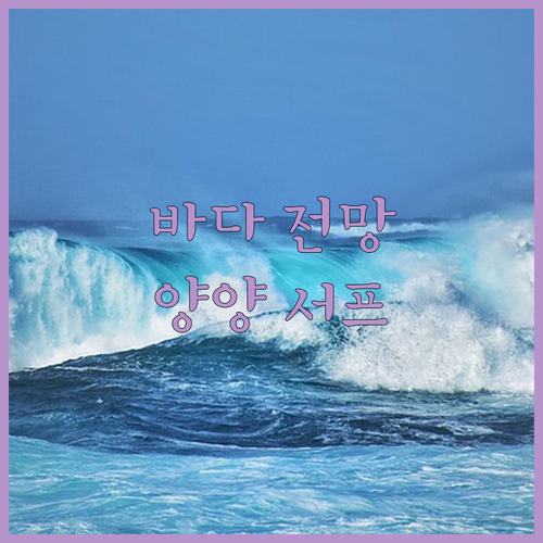 양양 서프리조트 인더시티 바다 전망에