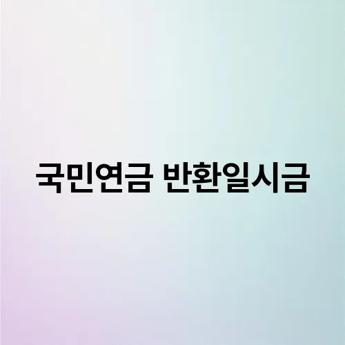 국민연금 반환일시금