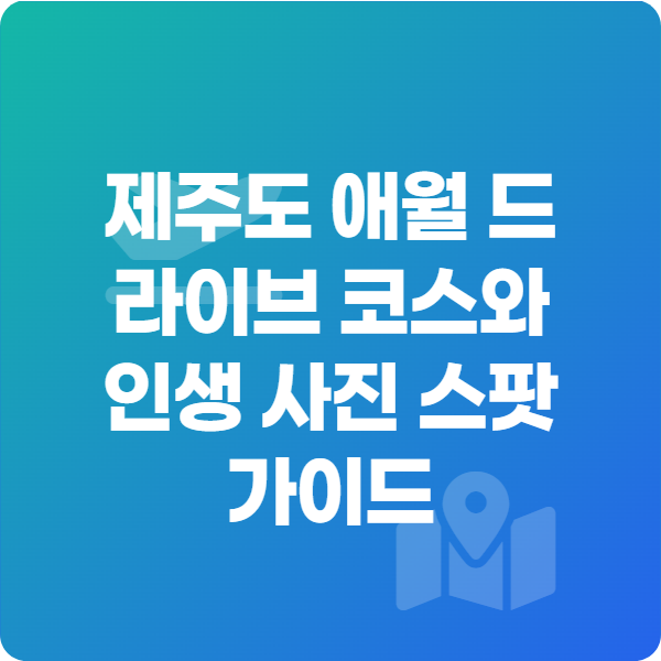 제주도 애월 드라이브 코스와 인생 사진 스팟 가이드