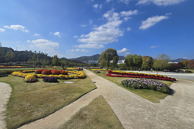 2025 순천만국가정원 입장료 추천코스 스카이큐브 순천여행 근처맛집 주차장 동문 서문 편의시설 예약 정원해설
