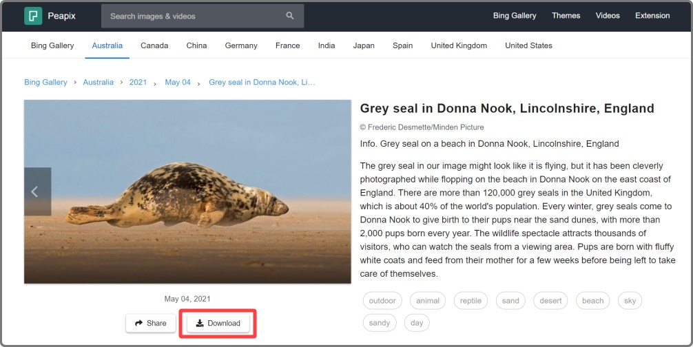 무료 배경화면 다운