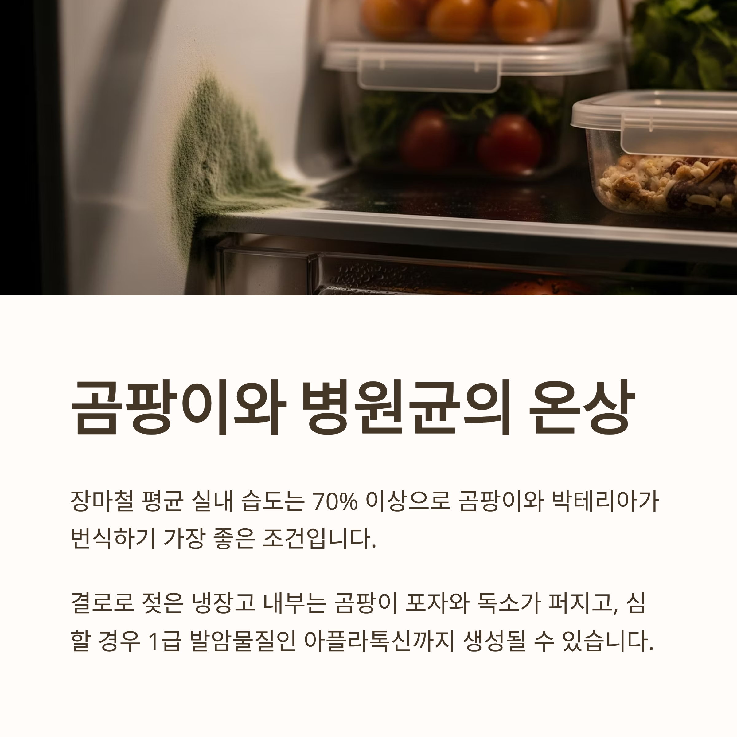 곰팡이와 병원균의 온상