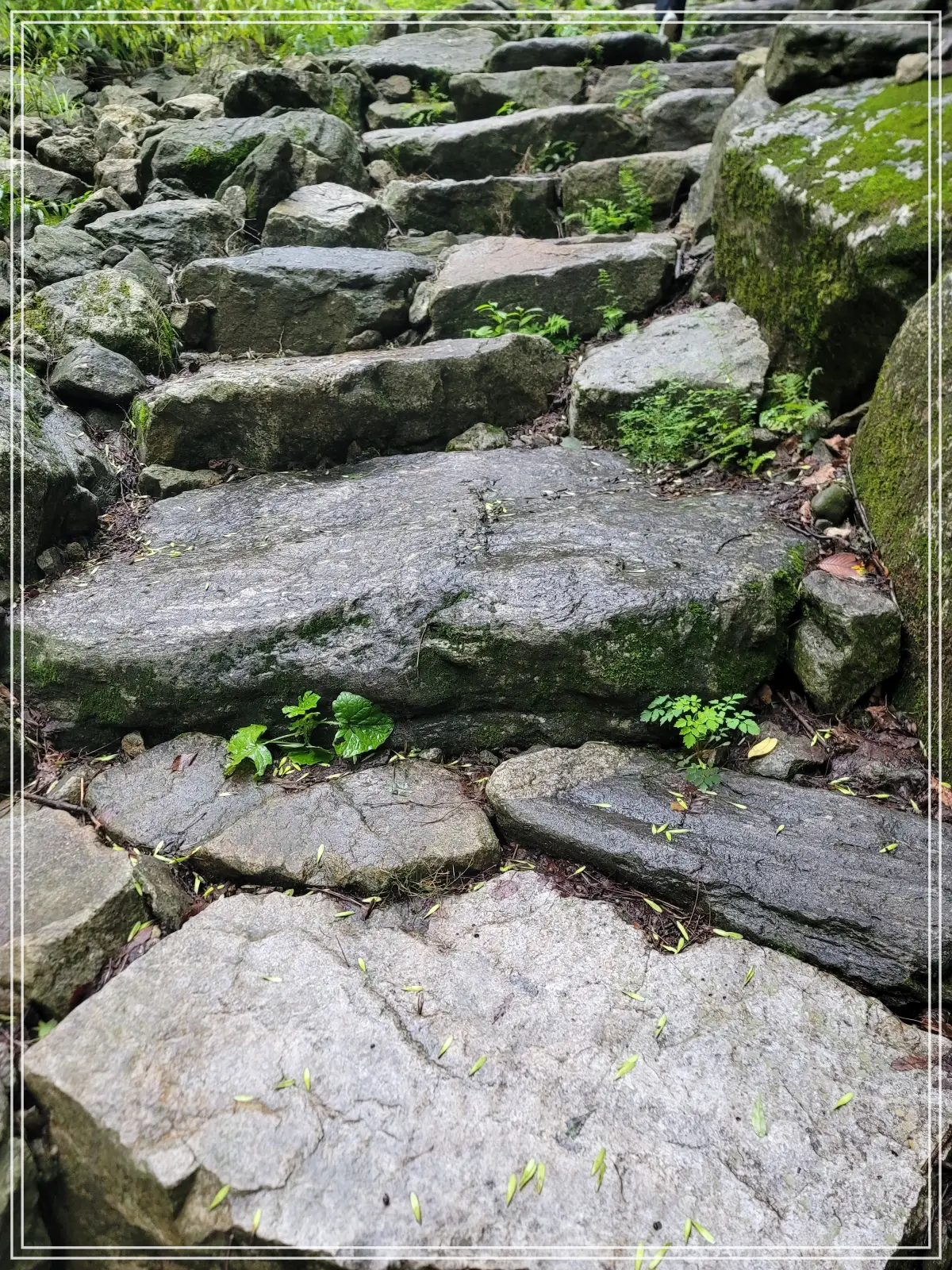 무주채폭포-가는길-돌계단-확대